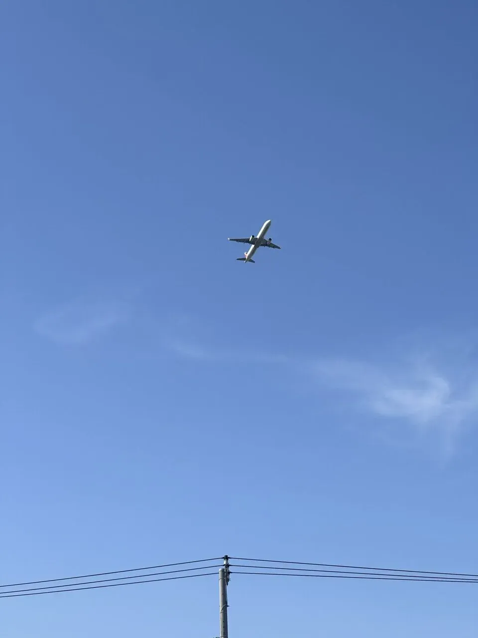 成田空港へ自走ライド！リハビリ・トレーニング - 画像5