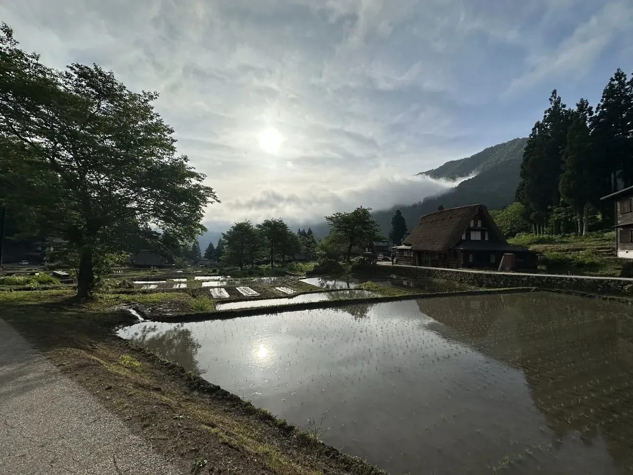 朝日に照らされた合掌造りの集落と水田