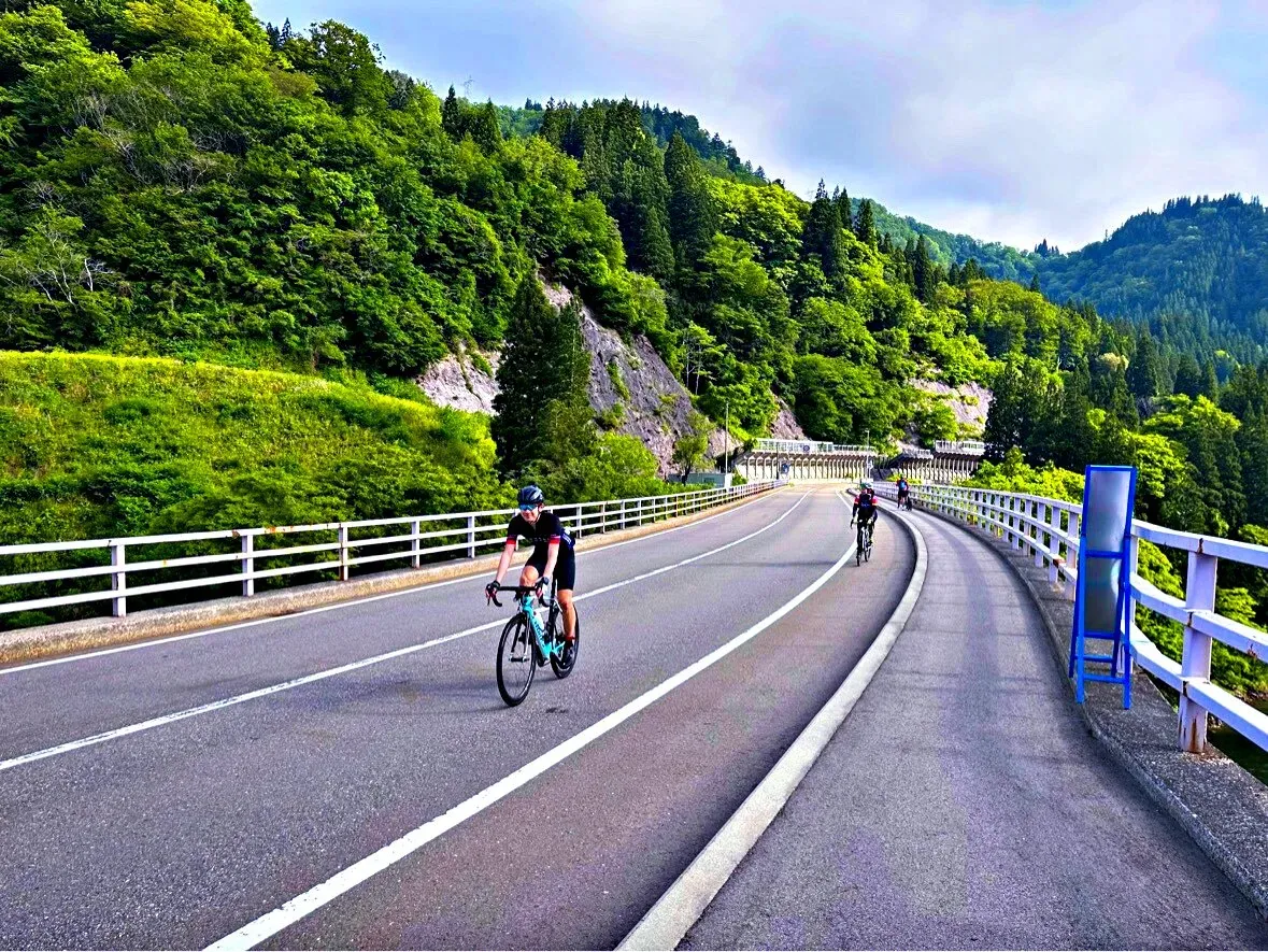 Cover Image of the Post