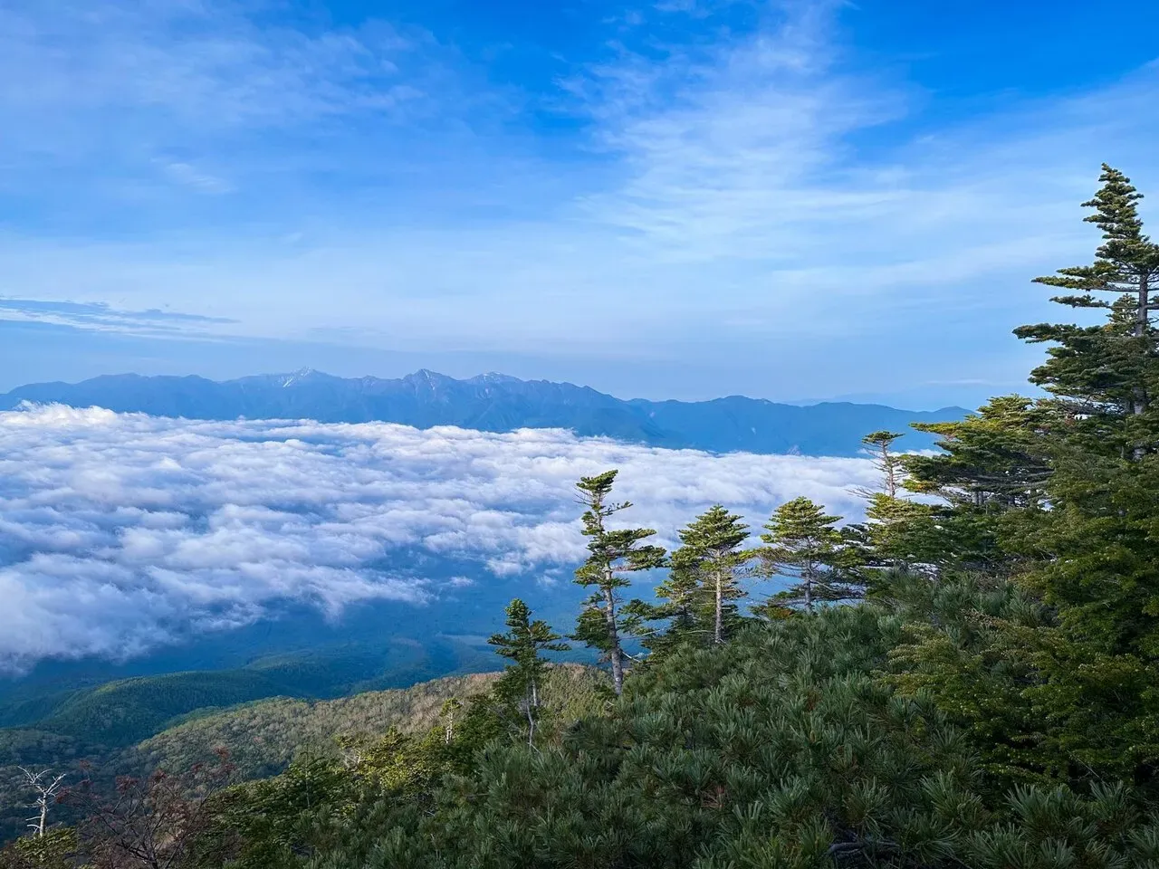 3度目の八ヶ岳。観音平〜麦草峠を縦走。景色が最高！ - 画像2