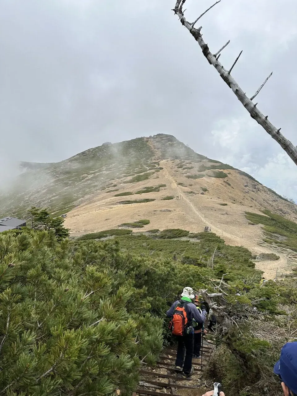 3度目の八ヶ岳。観音平〜麦草峠を縦走。景色が最高！ - 画像18