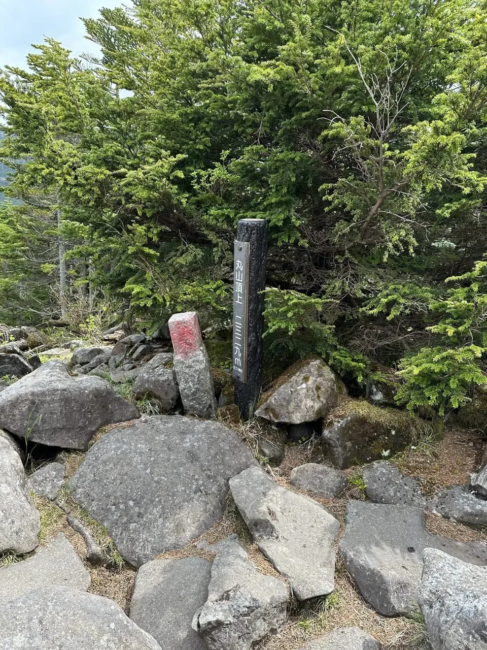 3度目の八ヶ岳。観音平〜麦草峠を縦走。景色が最高！ - 画像22