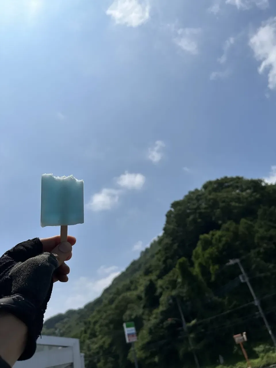 葉山⇔丹沢湖 往復ライド（坂か平地） - 画像5