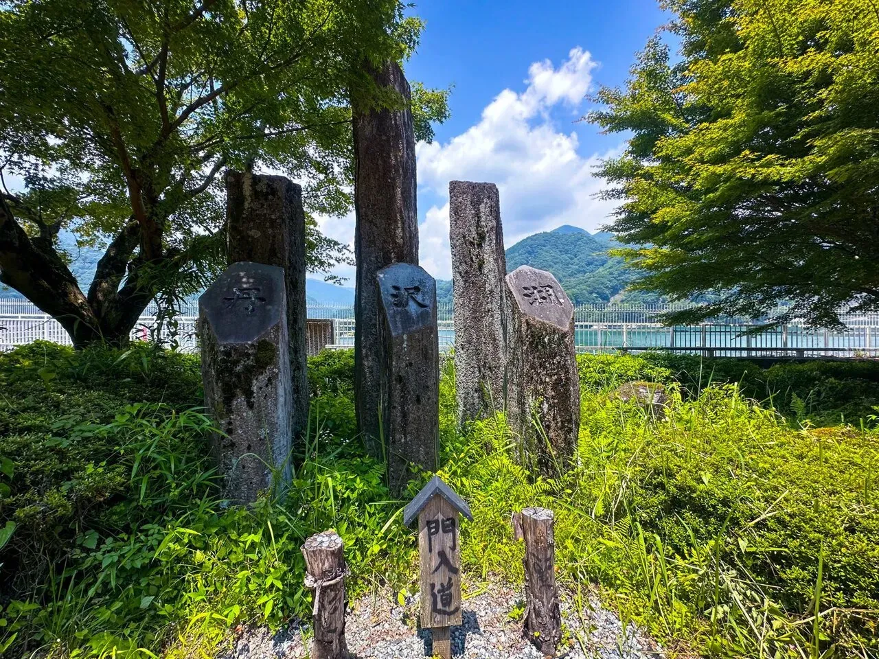 葉山⇔丹沢湖 往復ライド（坂か平地） - 画像7