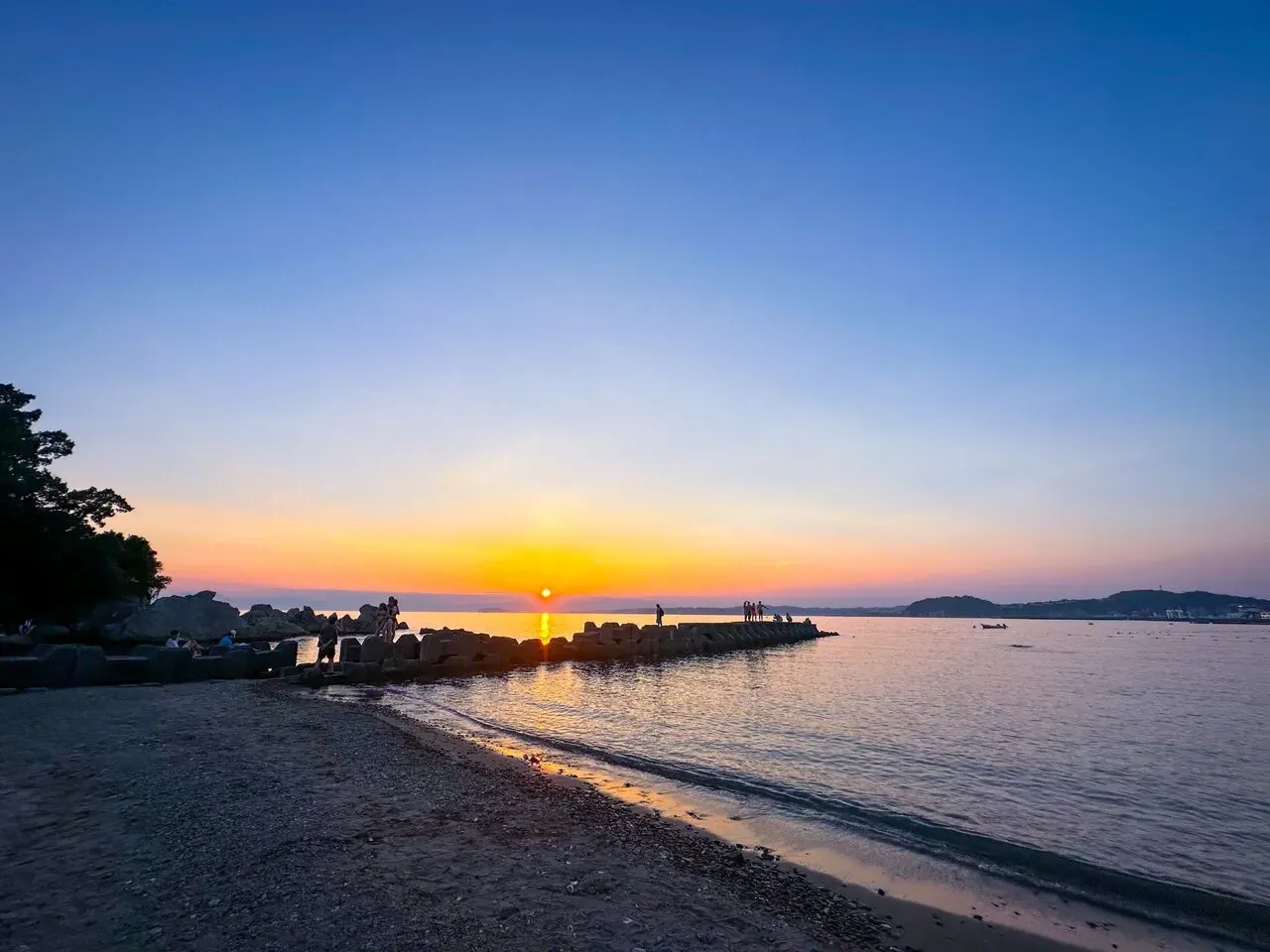 自転車で三浦イチをしてきました - 画像15