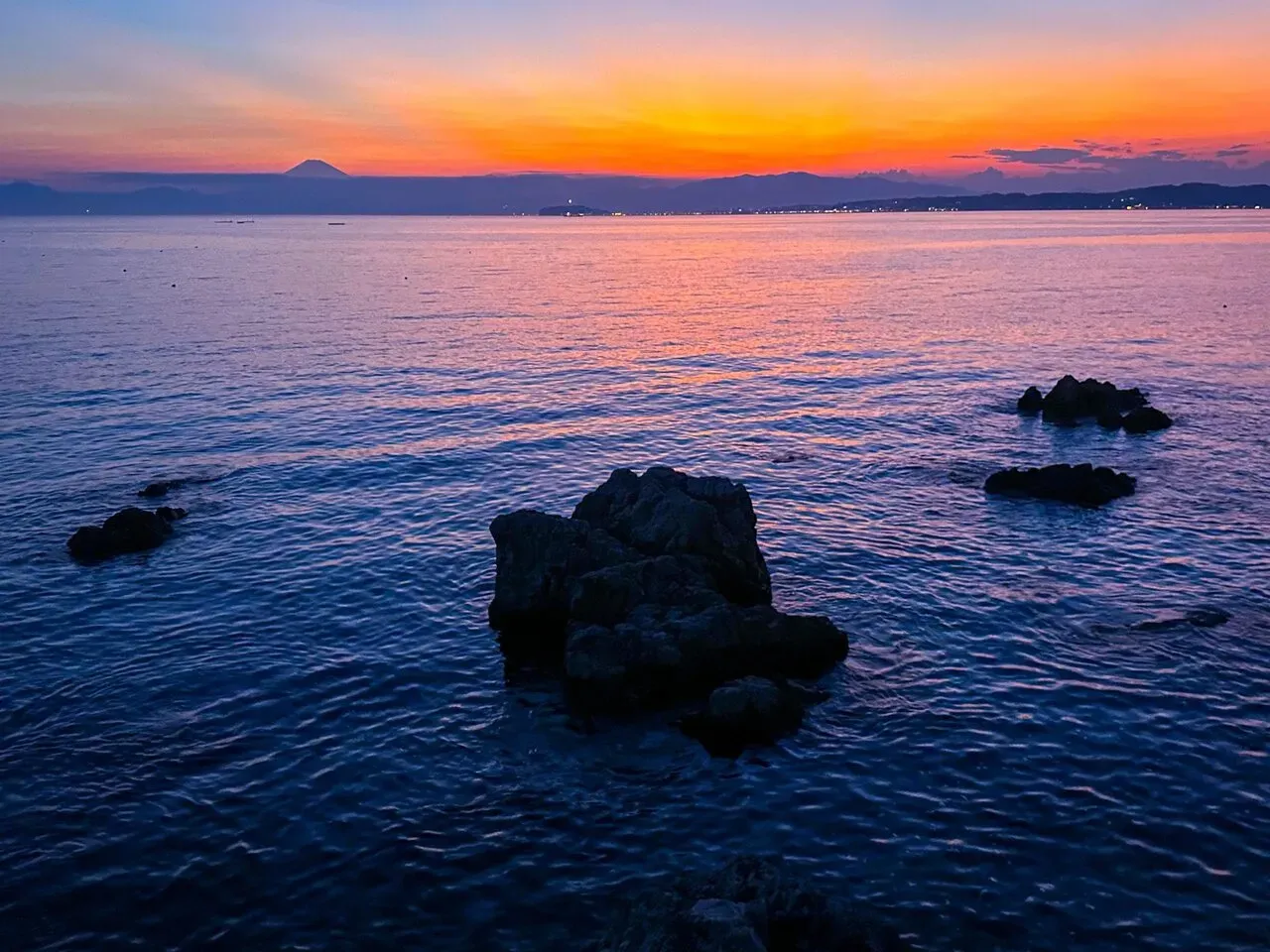 自転車で三浦イチをしてきました - 画像17