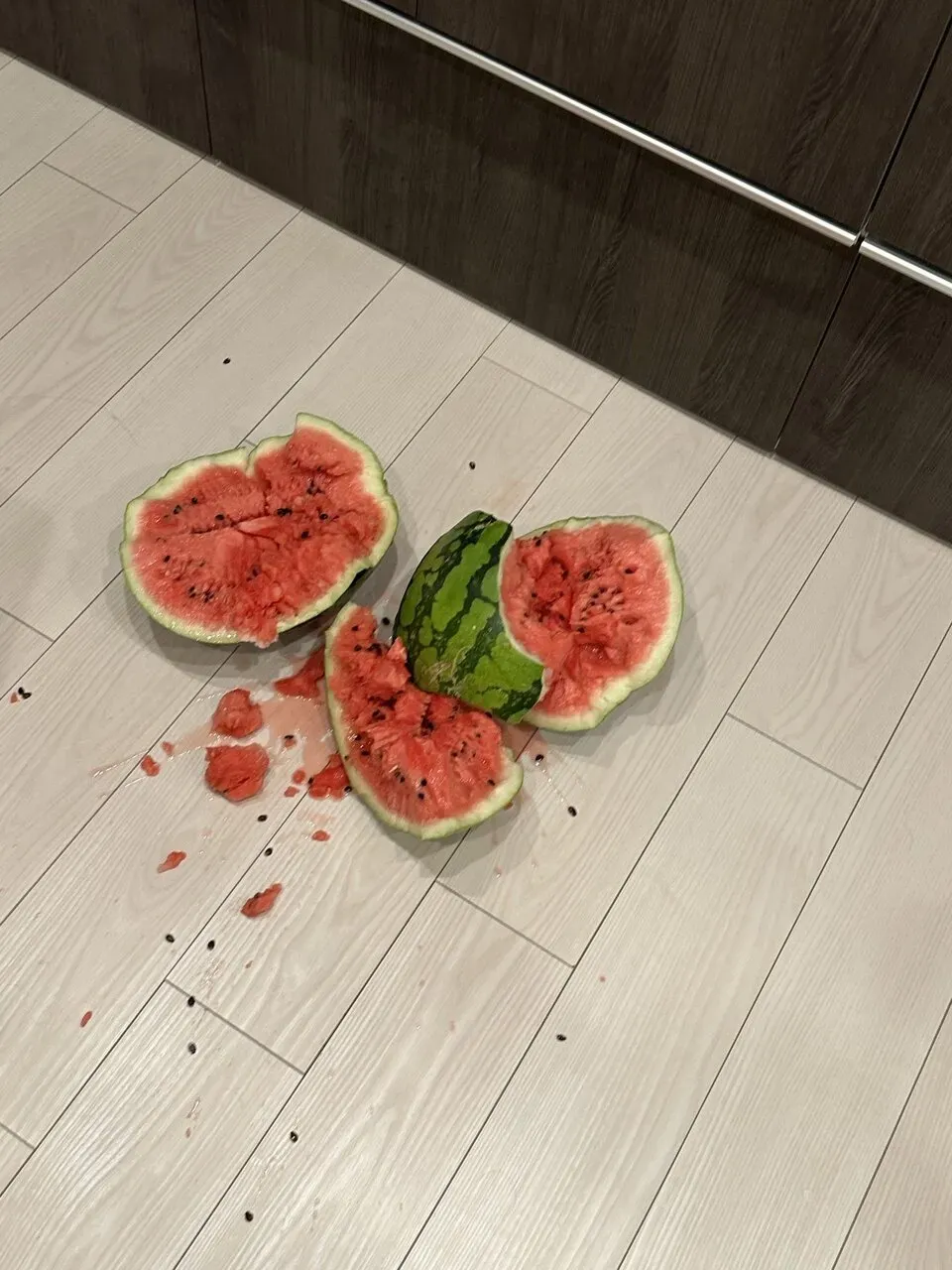 自転車で三浦イチをしてきました - 画像19