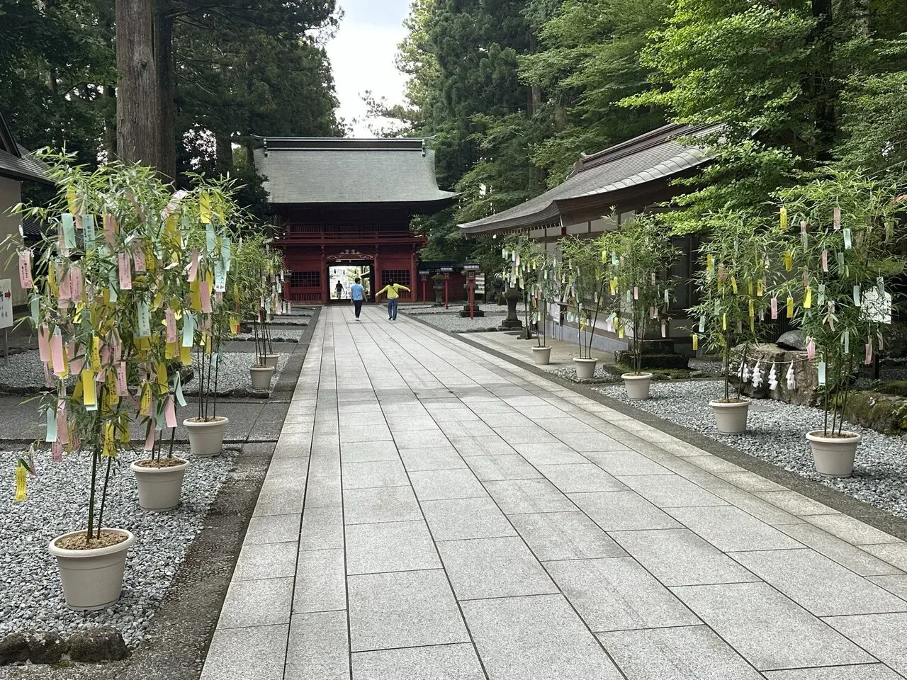 東京→道志みち→御殿場ライド - 画像16