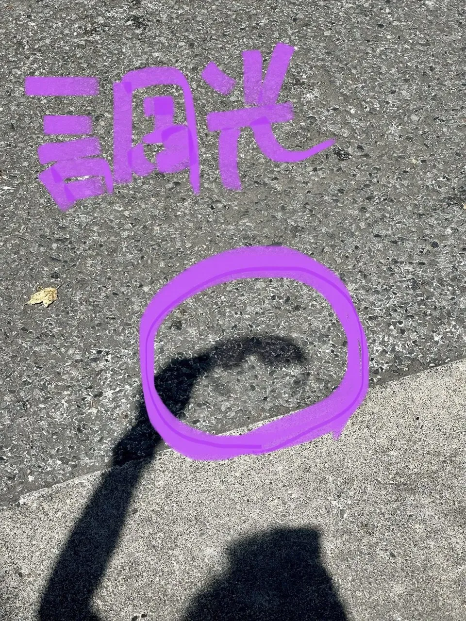 偏光サングラスと調光レンズセットが3,500円 - 画像14