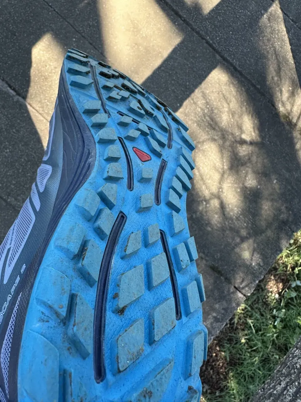 三浦アルプスでトレラン - 画像4