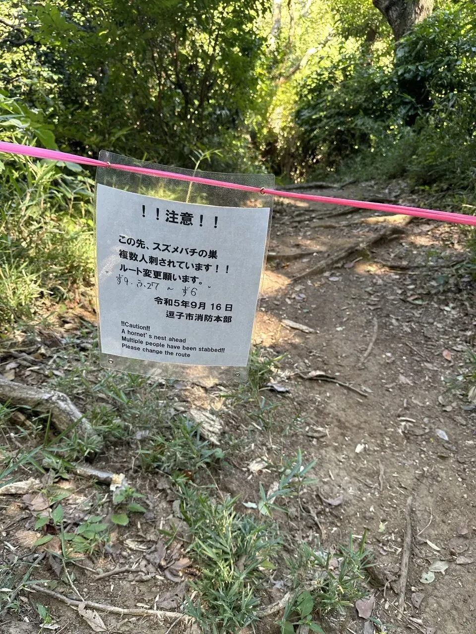 三浦アルプスでトレラン - 画像5