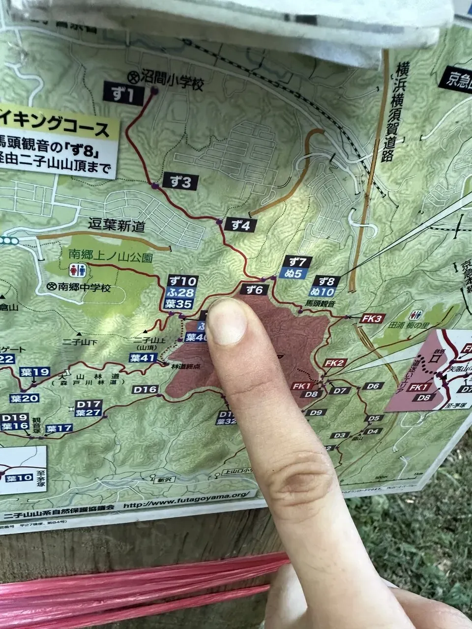 三浦アルプスでトレラン - 画像6