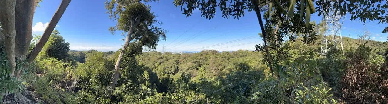 三浦アルプスでトレラン - 画像7