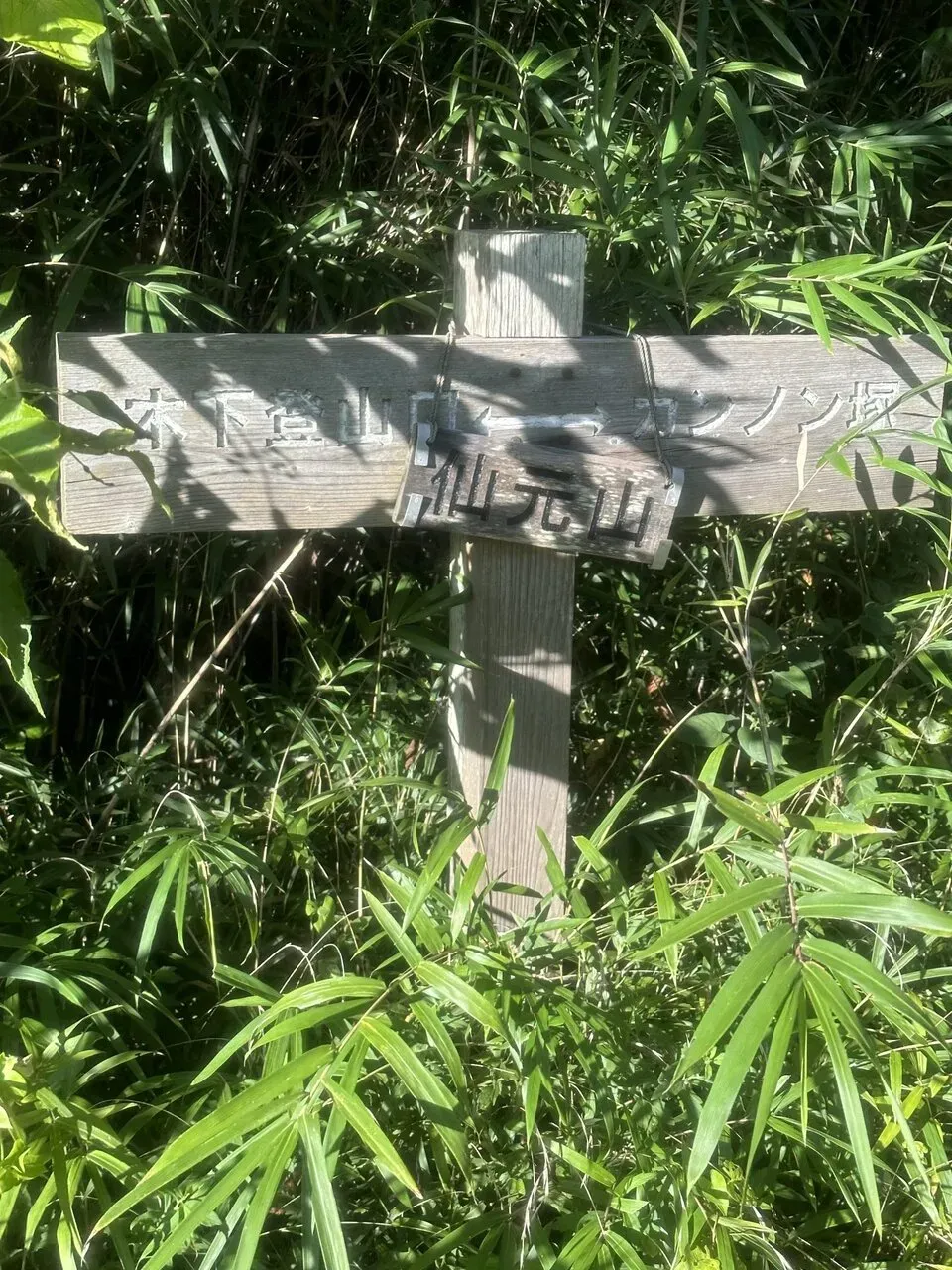 三浦アルプスでトレラン - 画像14