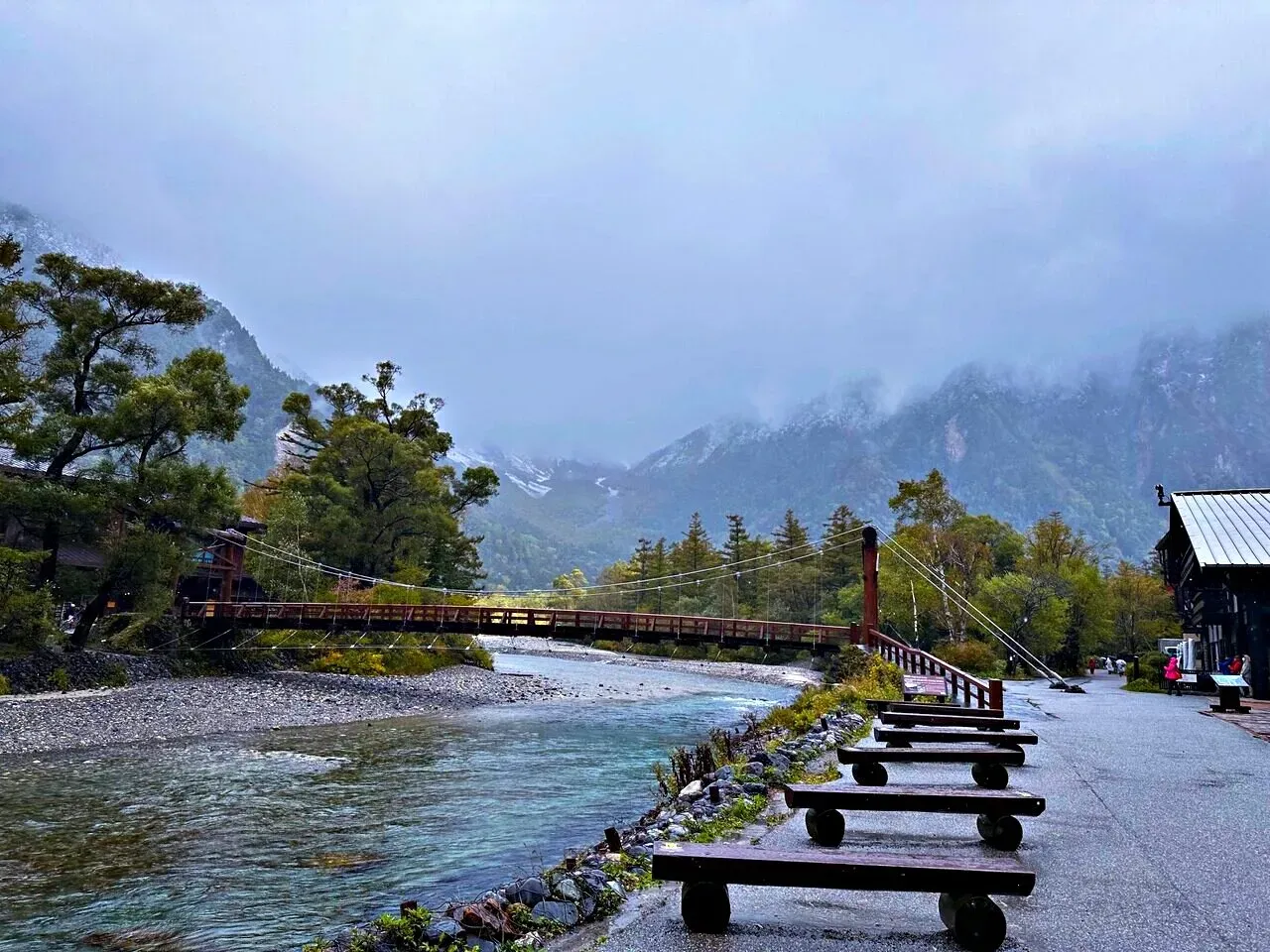 Cover Image of the Post