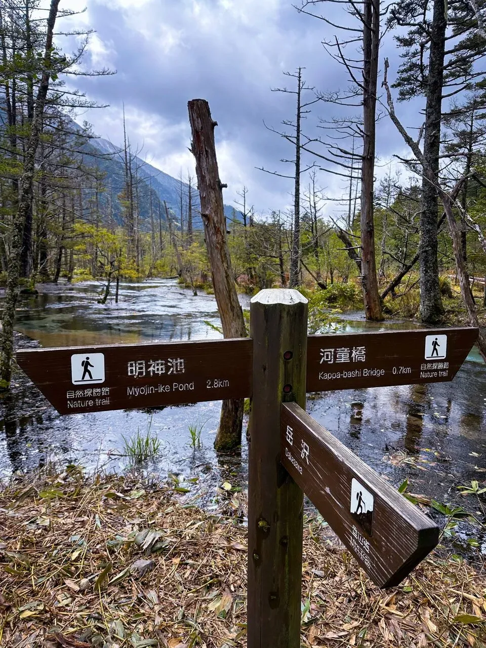 松本から小松へ270kmライド（上高地でトレラン 10km 編） - 画像18