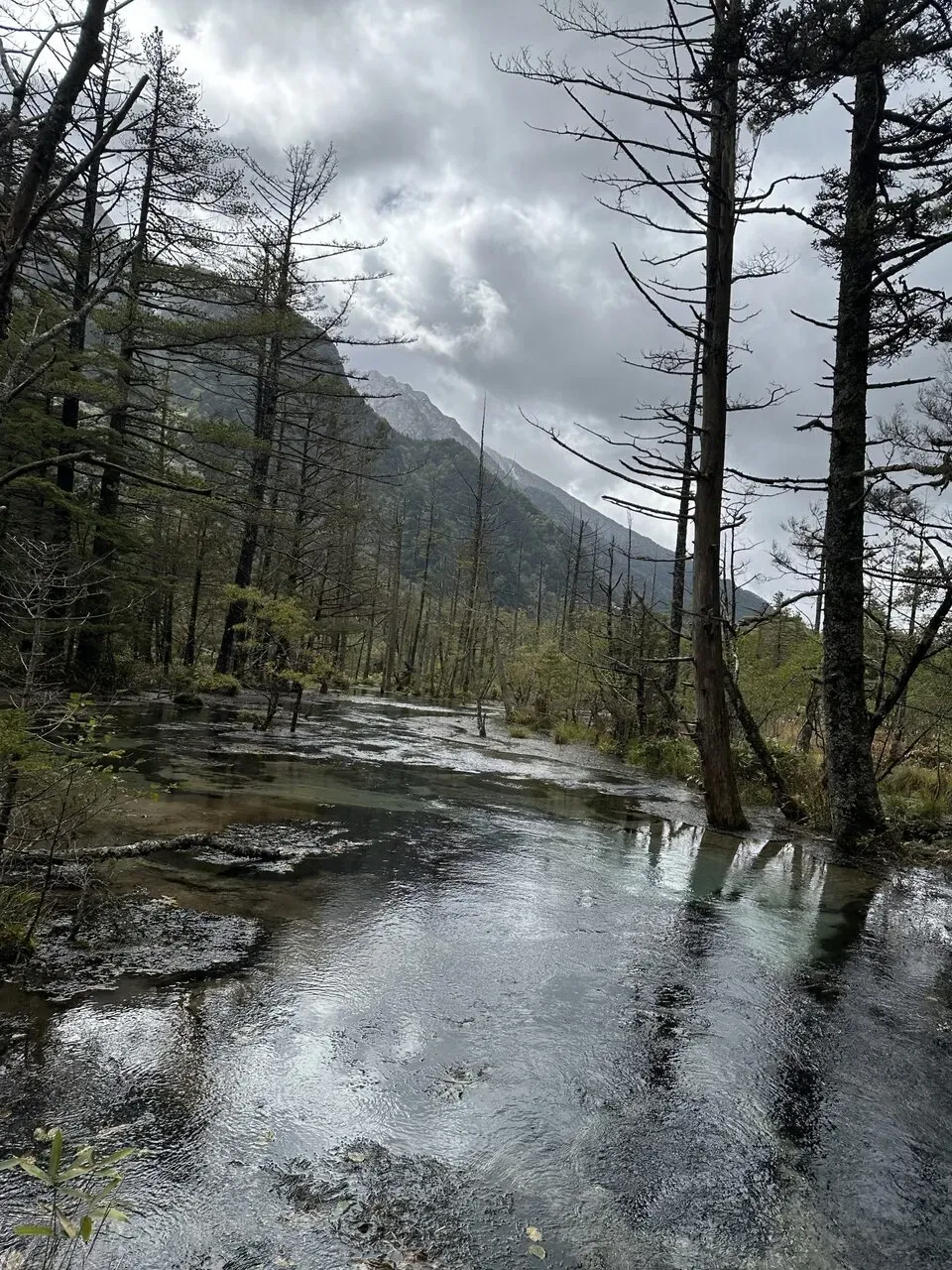 松本から小松へ270kmライド（上高地でトレラン 10km 編） - 画像19