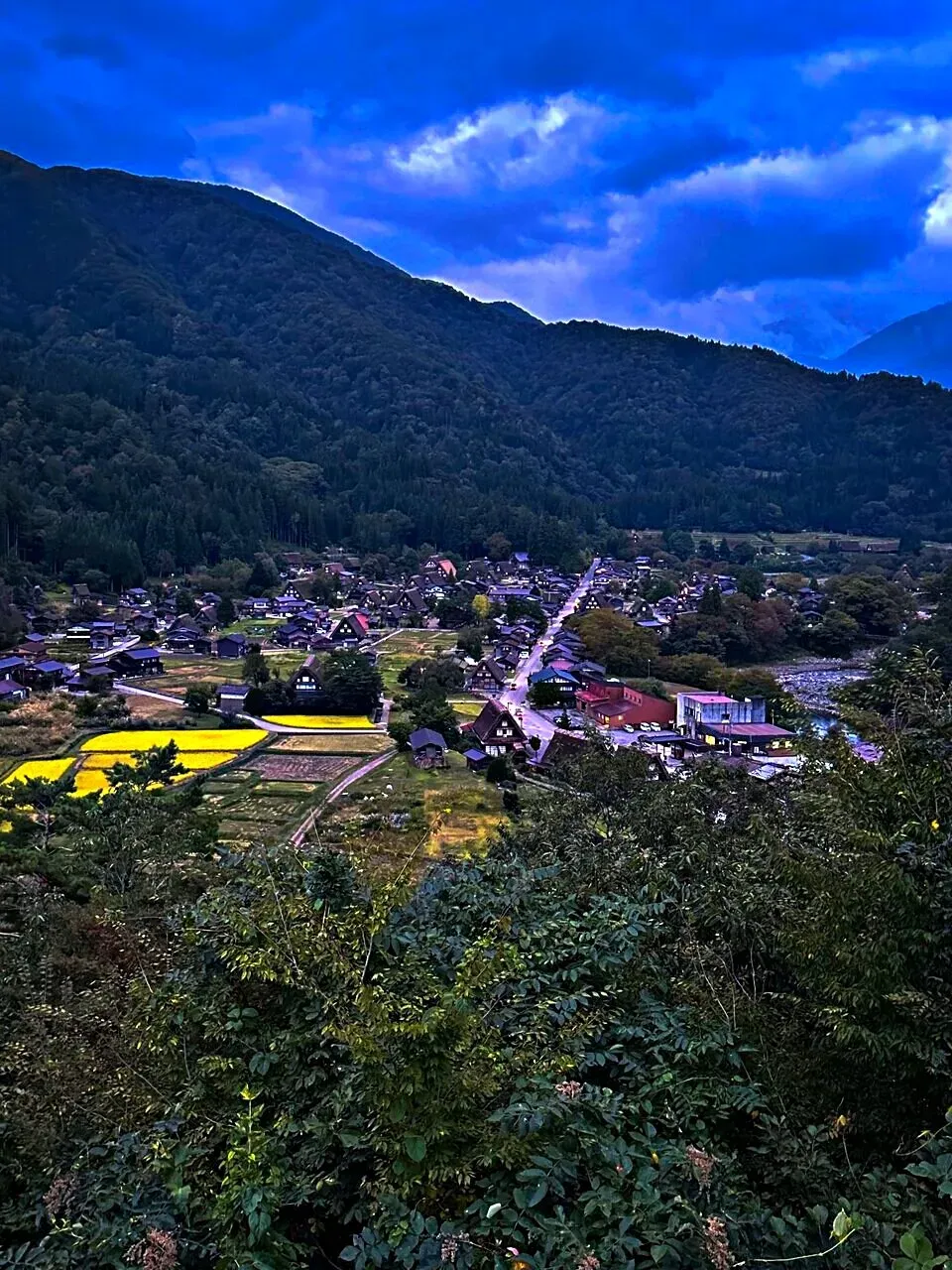 Cover Image of the Post