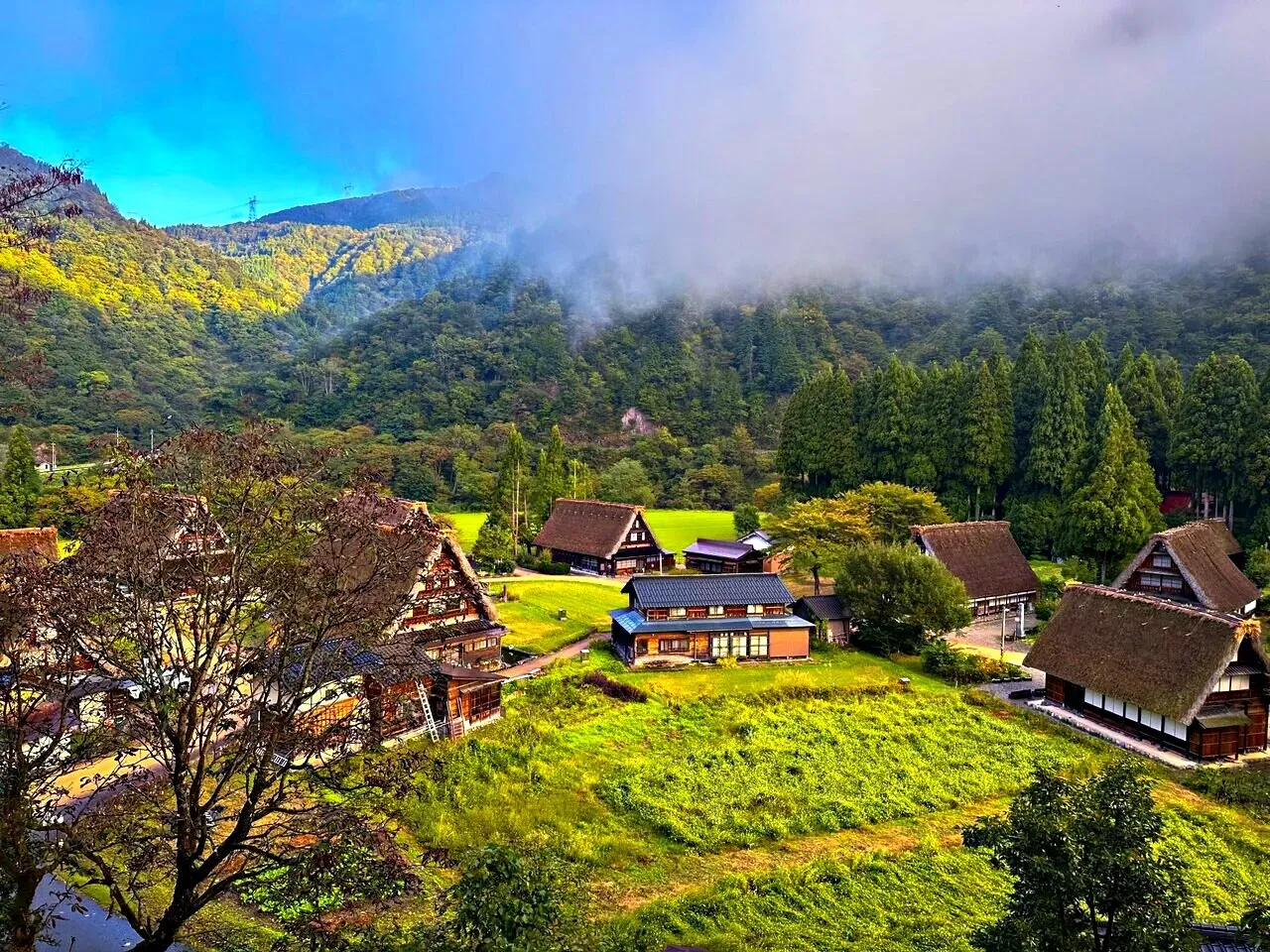 Cover Image of the Post