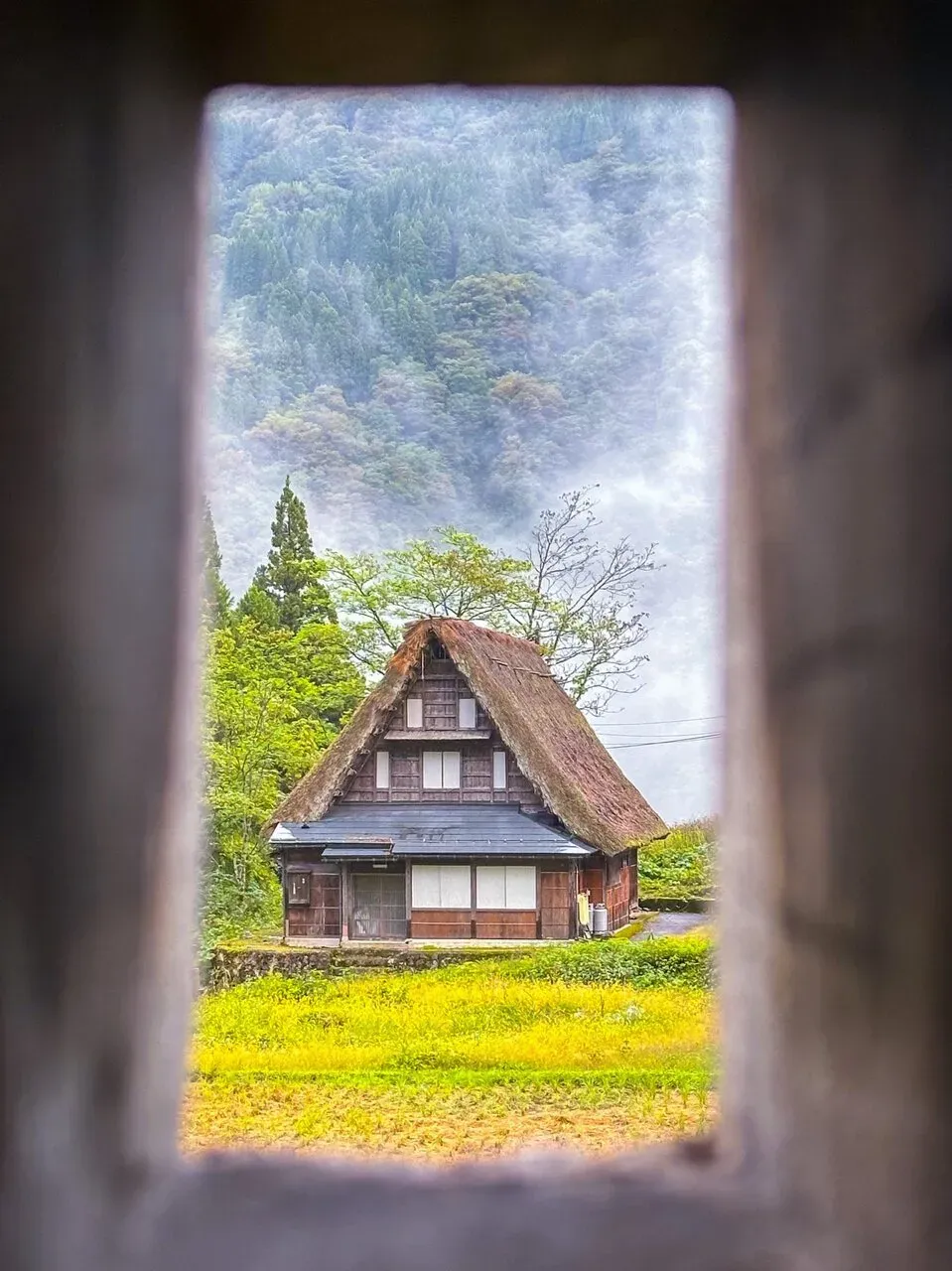 松本から小松へ270kmライド（白川郷から小松 100km 編） - 画像7