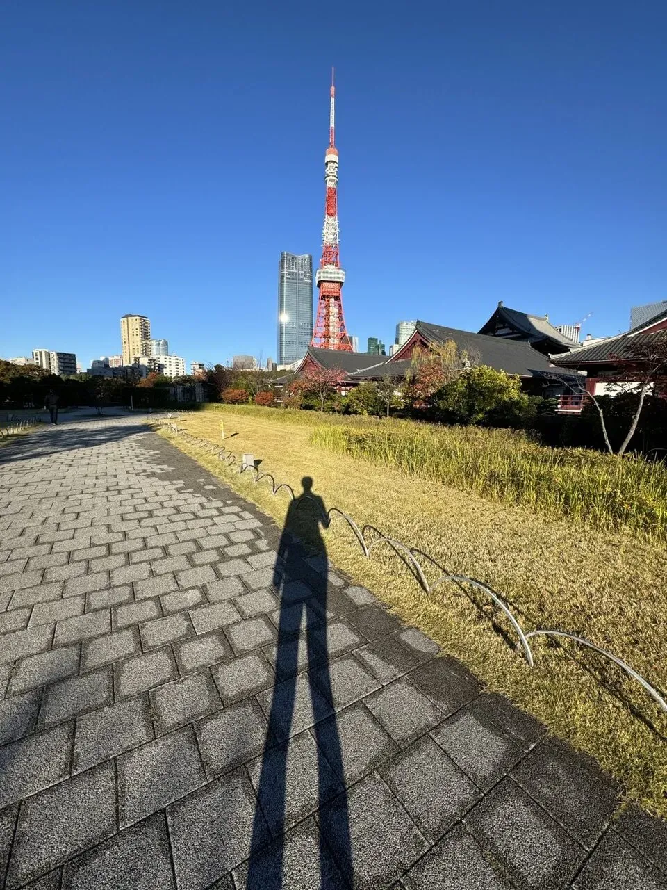 MINATOシティハーフマラソン2023 完走（1時間29分5秒） - 画像5