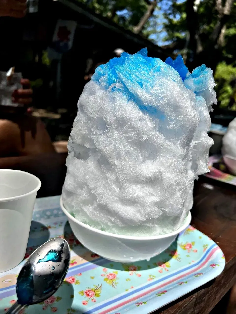 Cover Image of the Post