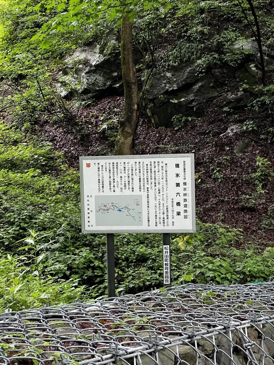 碓氷峠ヒルクライムトレーニング - 画像8