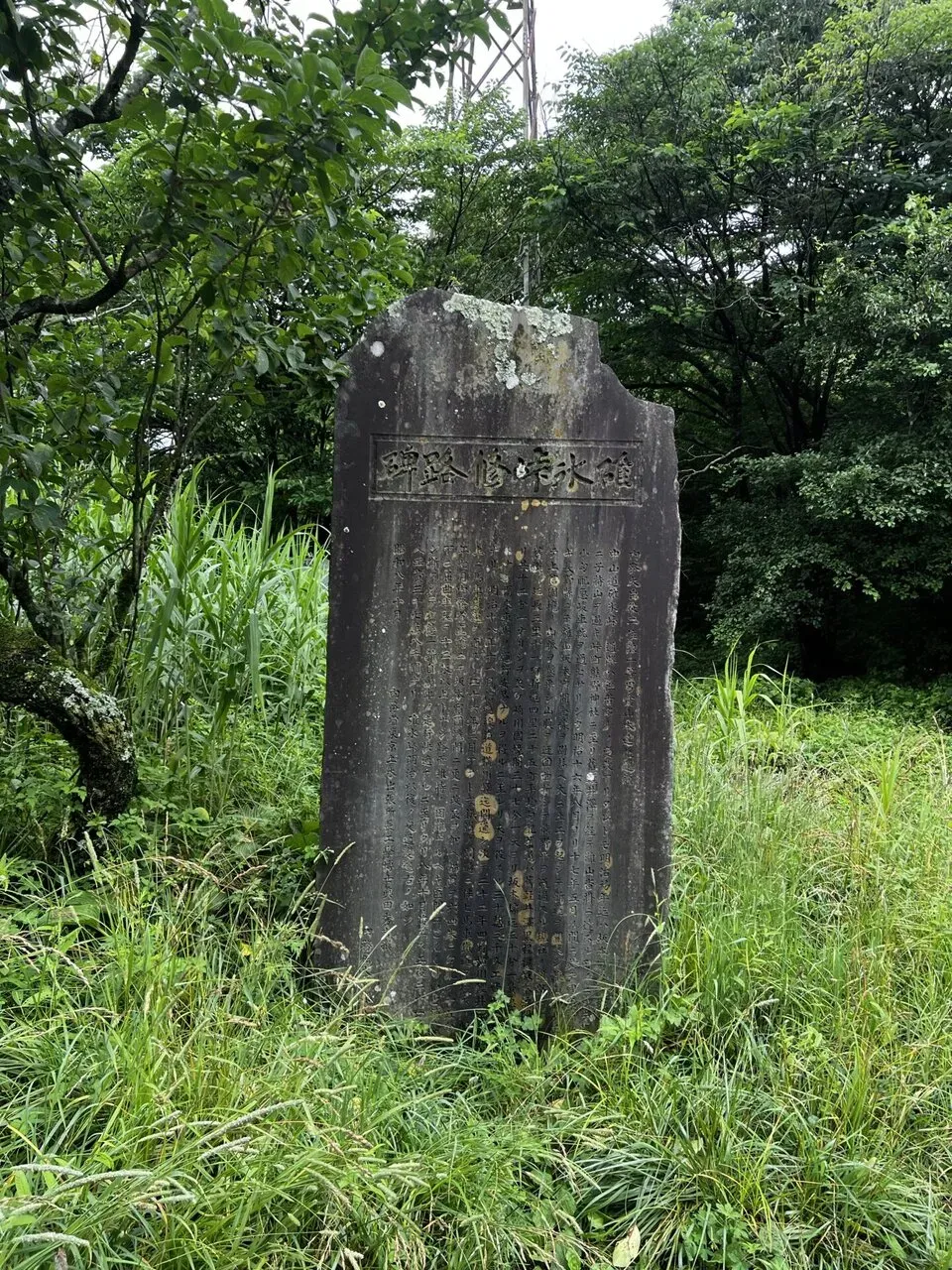 碓氷峠ヒルクライムトレーニング - 画像2