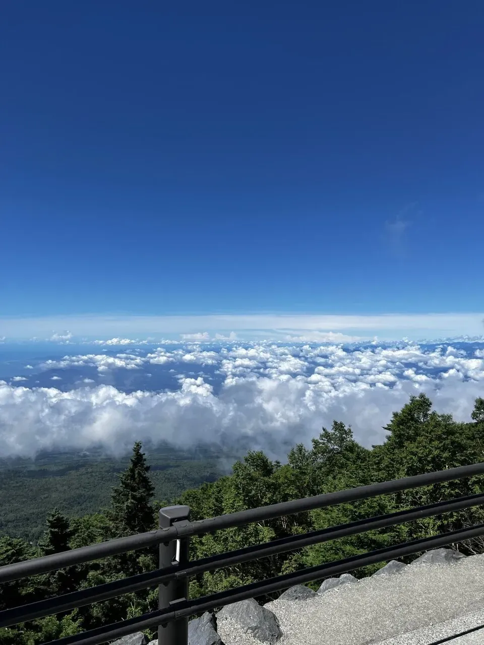 展望台から眼下に広がる雲海