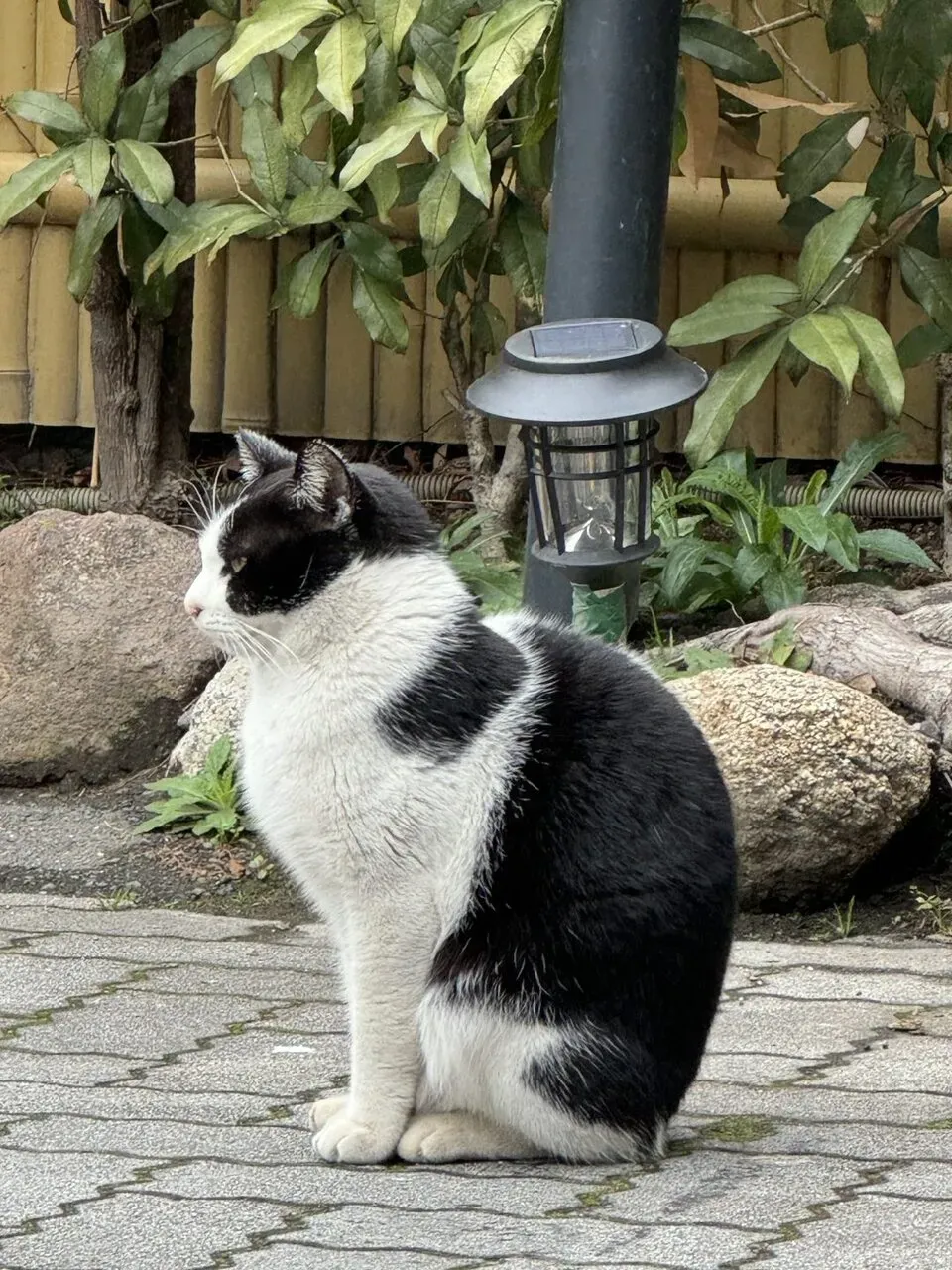 別府大分毎日マラソン 2024年 【旅行編】 - 画像16