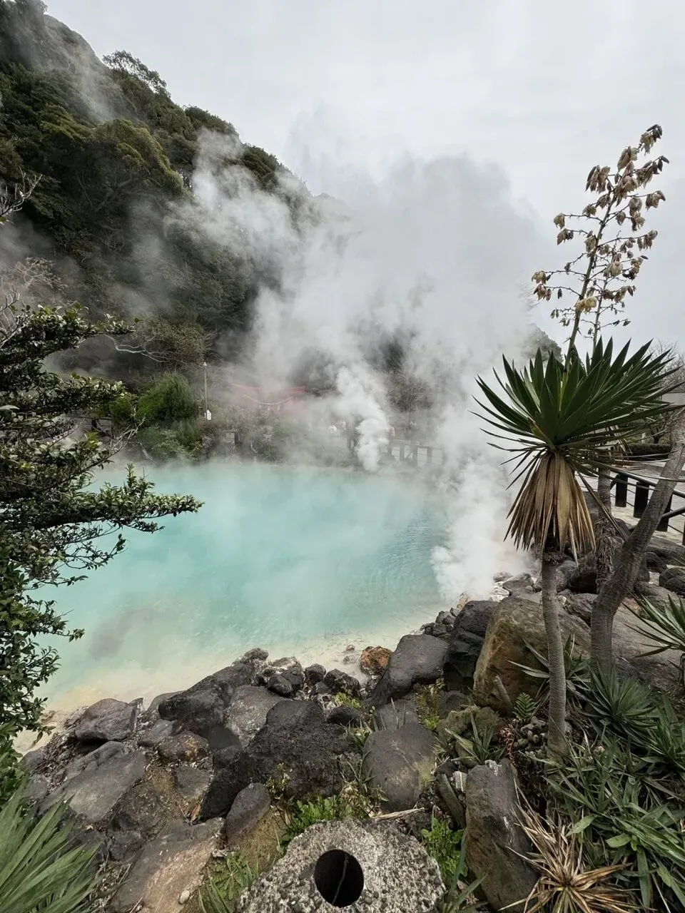 別府大分毎日マラソン 2024年 【旅行編】 - 画像30