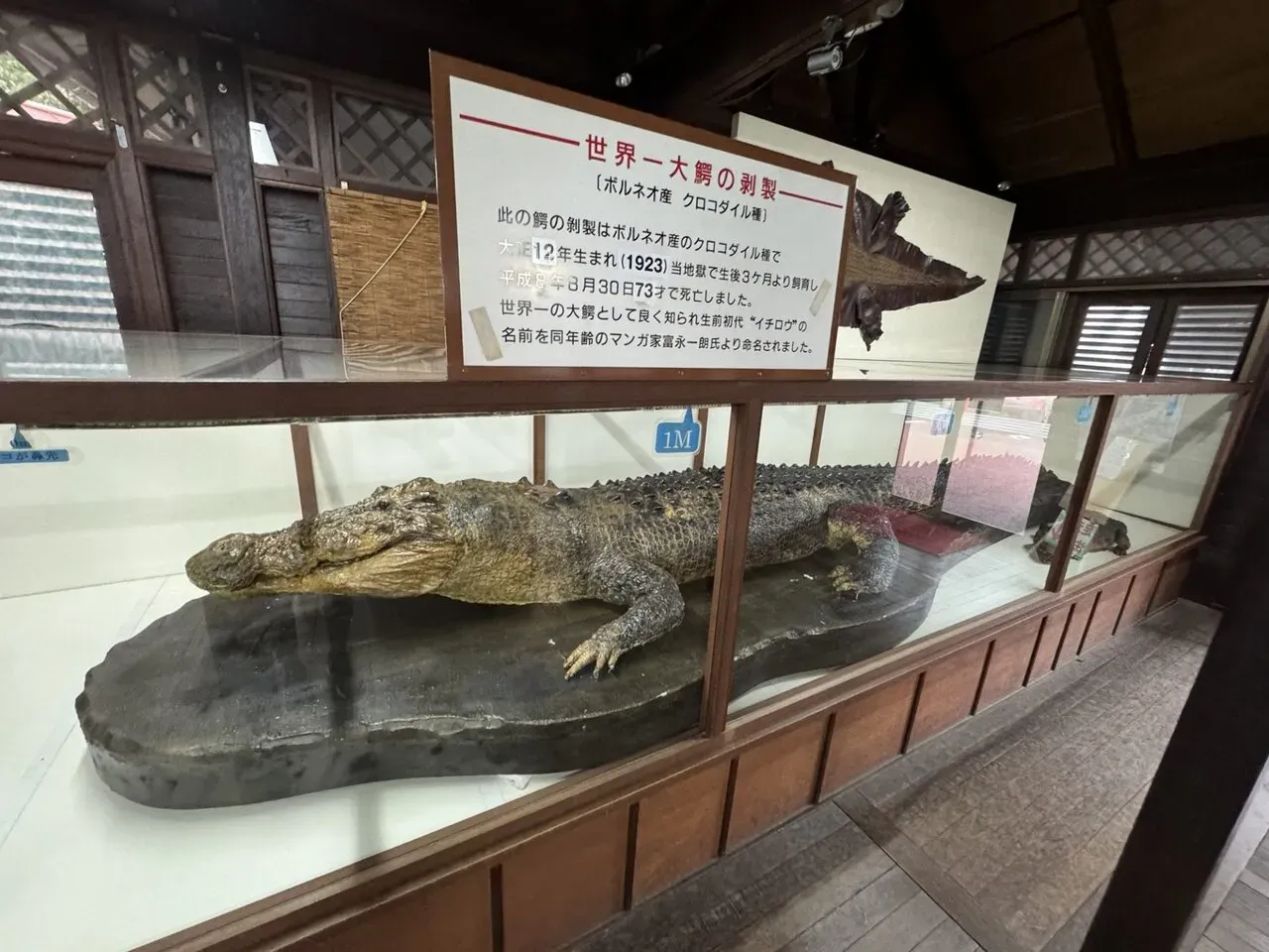 別府大分毎日マラソン 2024年 【旅行編】 - 画像34