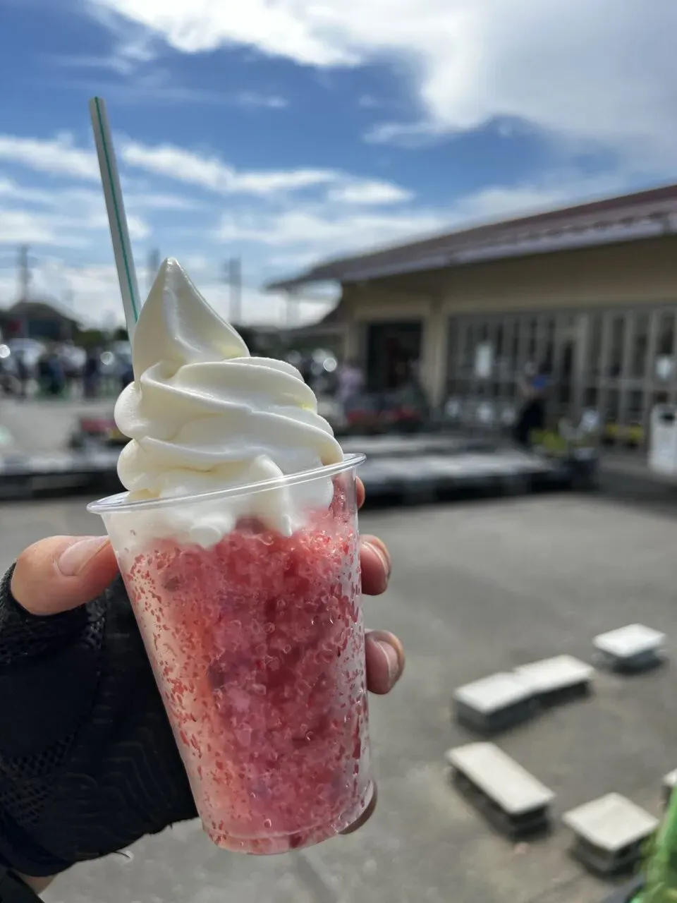 葉山<=>三崎港ライドでマグロ朝ごはんとスイーツ - 画像9