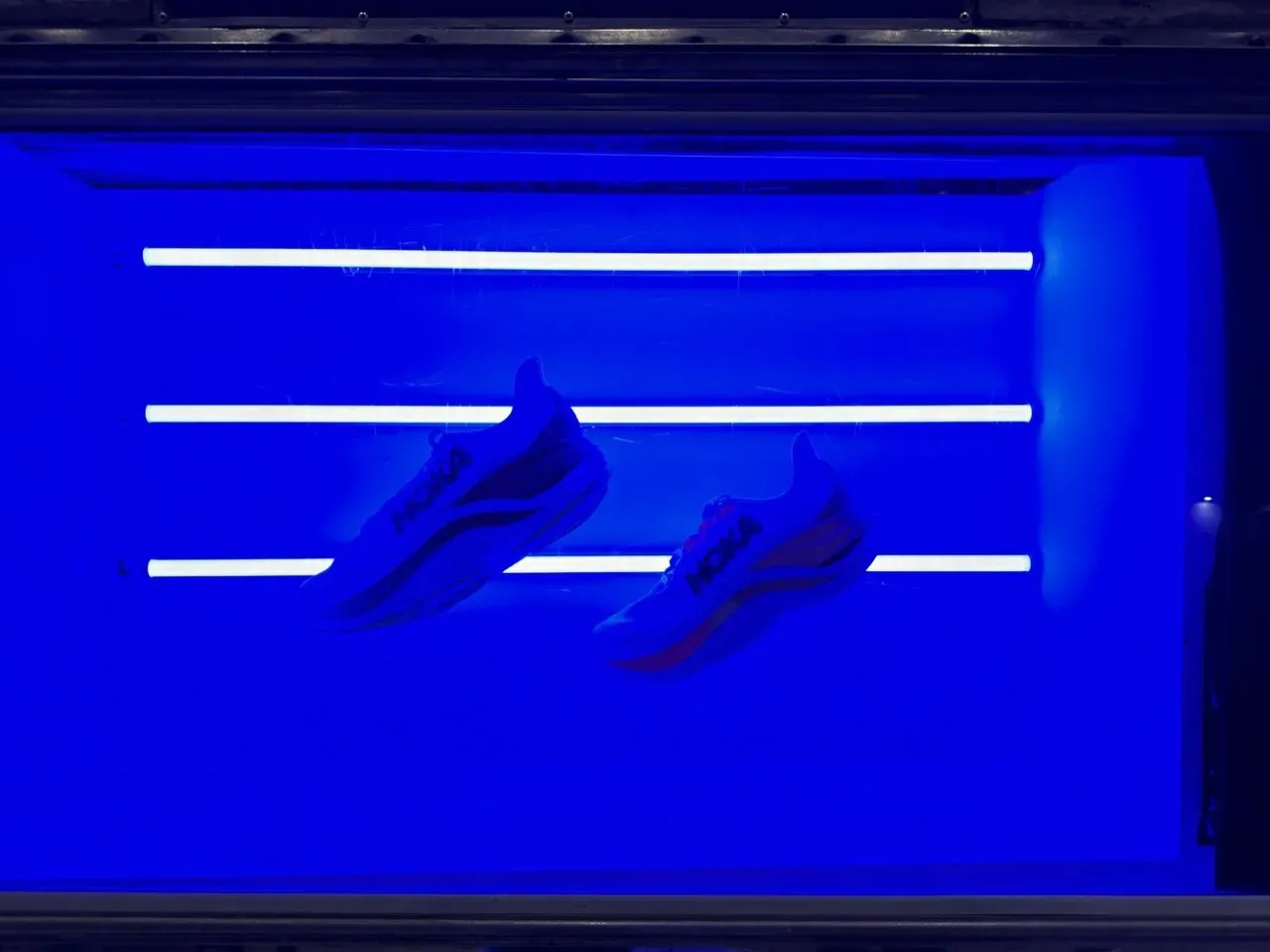 TOKYO MARATHON 2024 EXPOでリサーチ - 画像15