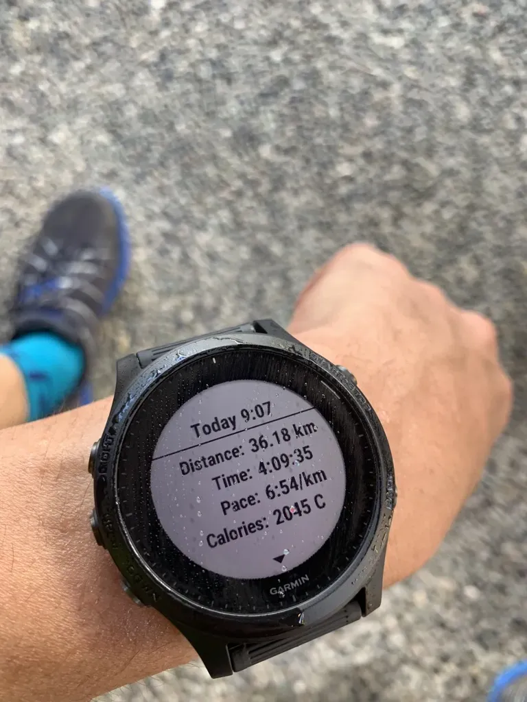 陣馬山へ峠走 トレーニング 36km - 画像9