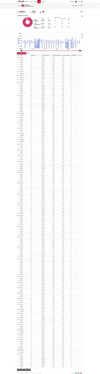 flow training swimming v800 result