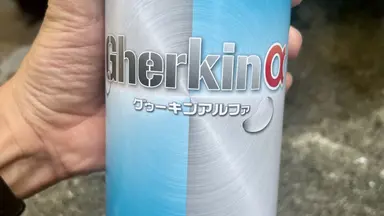 グゥーキンアルファの使い方説明。コスパ最強のデグリーサー